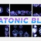 Platonic Blob - VideoHive Item for Sale