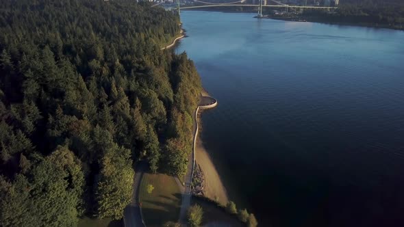 Seawall And Lush Green Coniferous Trees At Stanley Park With Lions Gate Bridge Over The Burrard Inle