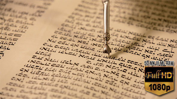 Reading of the Torah Close Up 2