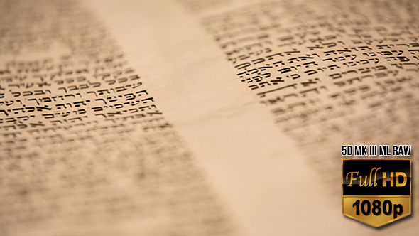 Hebrew Torah Scroll Close Up