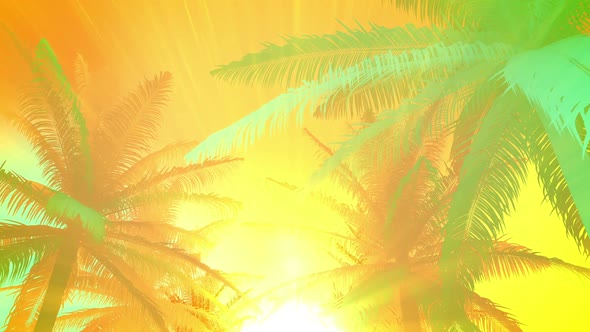 Colorful Summer Background alt