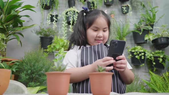 Asian girl taking a photo a small plant in flowerpot by smartphone in the garden at home