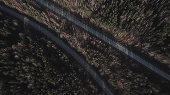 Multiple lane highway road with traffic cars between autumn forest