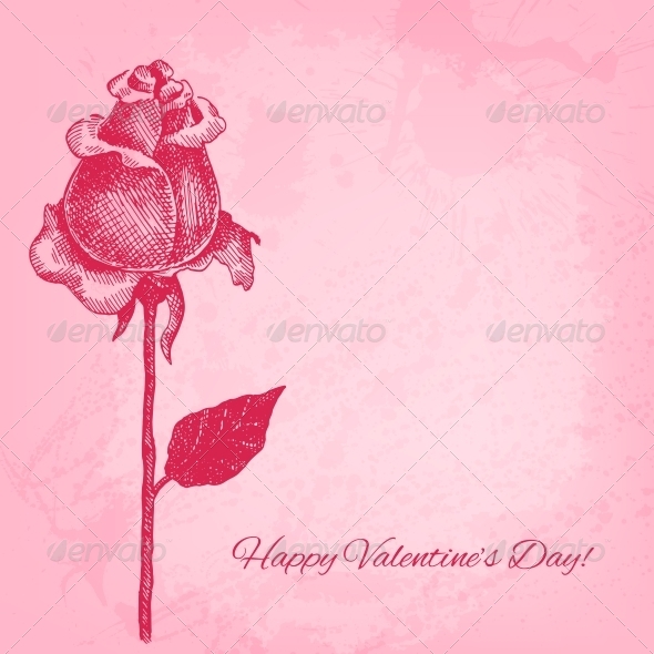 Hand Drawn Rose. Vector Valentine Background