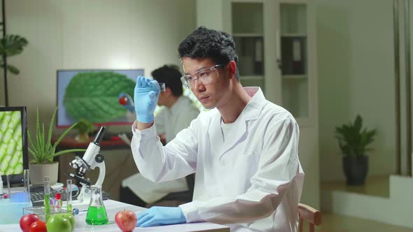 Scientist Man Looking At Test Sample Of Leaf Analyzing For Biological Experiment With Organic Plants