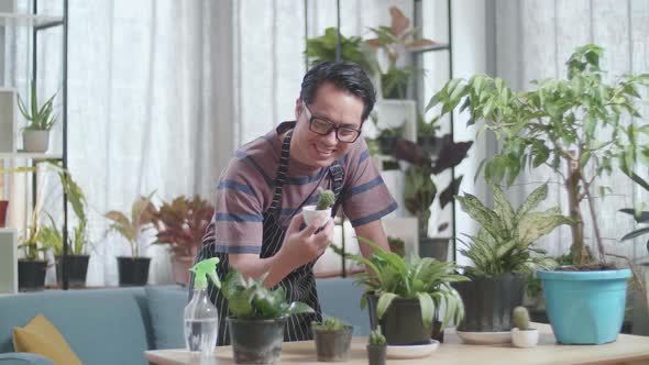 Smiling Asian Man Looking At Cactus Plant In Hand And Shaking His Head