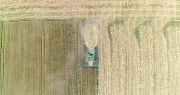 Modern combine harvester working on the wheat crop. Aerial view.