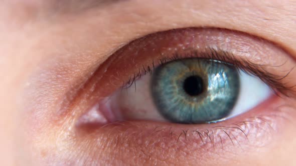 Close Up Macro Eye Beautiful Blue Iris Natural Beauty