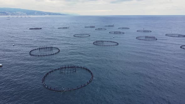 Aquaculture fish farm in sea for providing farmed fish produce for market