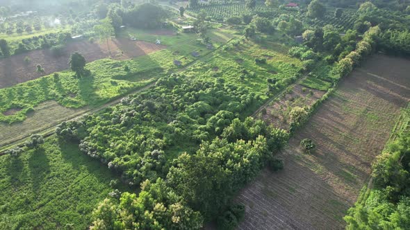 Aerial view of  agriculture field in northern of Thailand by drone