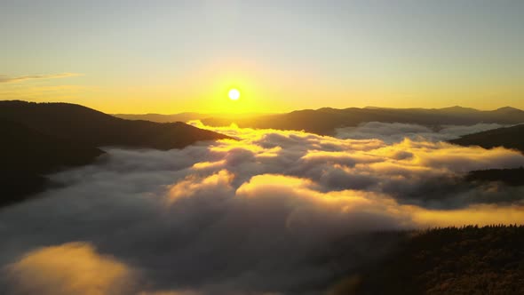 Aerial View of Foggy Evening Over Dark Pine Forest Trees at Bright Sunset