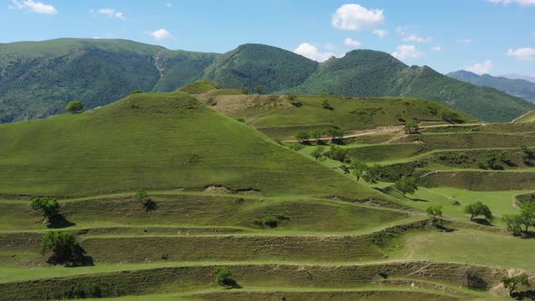 Top view on the green agricultural fields in countryside