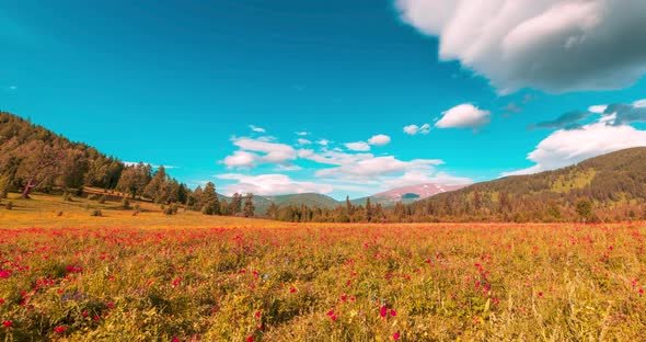 Mountain Meadow Timelapse at the Summer or Autumn Time