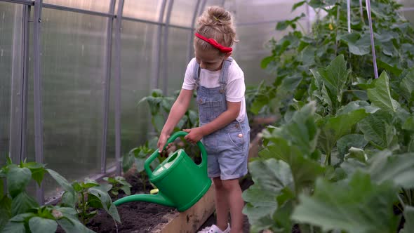 Little Girl Watering Vegetable Sprouts in the Greenhouse Gardening Caring for Plants in the Garden