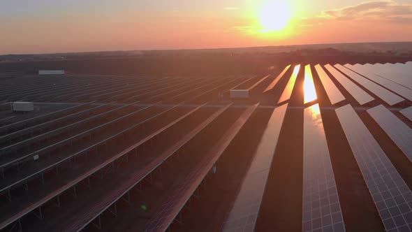 Aerial Drone View Into Large Solar Panels at a Solar Farm at Bright Sunset. Solar Cell Power Plants