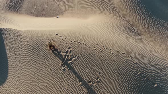 Top View on a Blonde Woman Posing on Top of a Sand Dune Then Walks