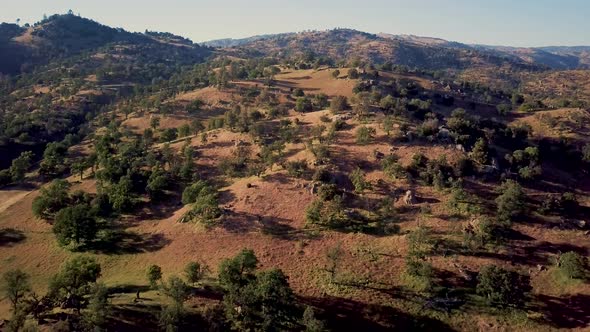 Brown foothill mountains covered in trees in Tehachapi, California, AERIAL PULL