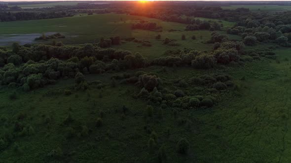 Aerial View Sunset or Sunrise in Field Drone Shot Beautiful Summer Sun in Forest