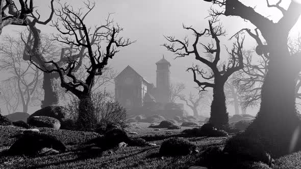 Old church in the dark forest alt