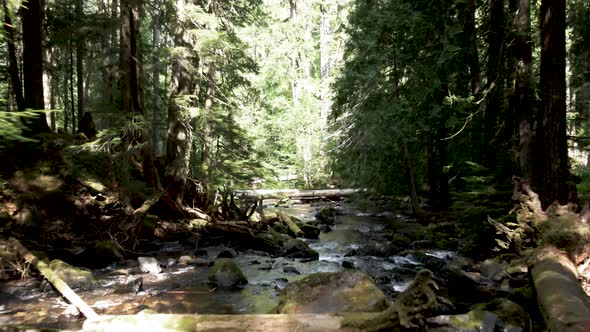 Passing slowly over a natural log strewn hidden mountain creek, aerial