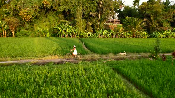 woman in white dress riding bike through rice fields in Bali Indonesia with dog following at sunset