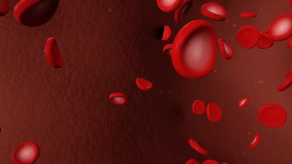 Red Blood Cells Floating in a Blood Vein