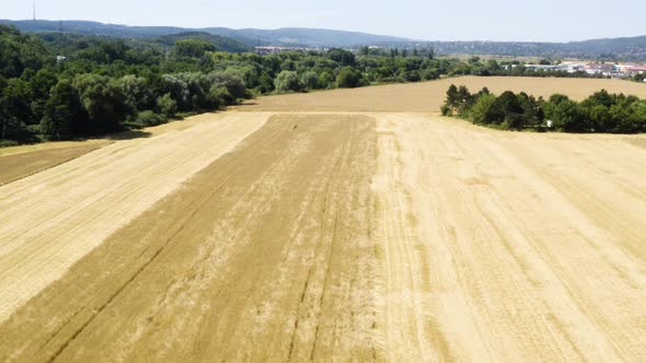 Aerial Drone Shot  a Brown Field and a Forest in a Rural Area  Drone Flies Forward