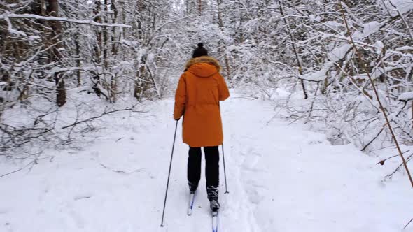 Skier in hat with pompom with ski poles in his hands with in snowy forest with snow