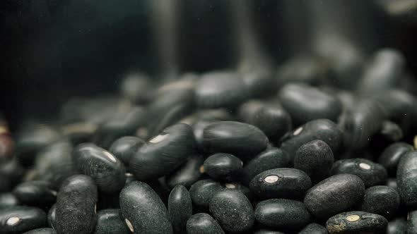 Closeup of Falling Down Black Beans Into Glass Jar on Black Background