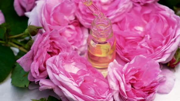 Tea Rose Essential Oil in a Small Bottle