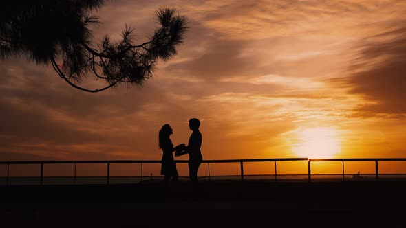 Couple Silhouette at the Beach Sunset