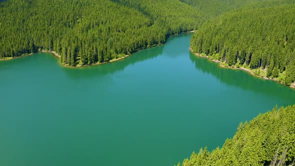 Aerial view over beautiful turquoise mountain lake and green forest. Summer in the mountains. 