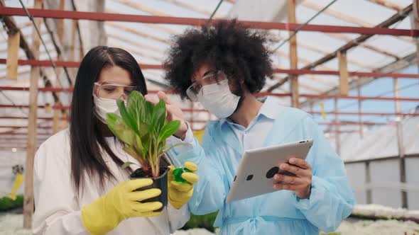 Multiracial Skilled Specialists Working in Glasshouse or Lab