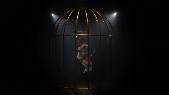 Gymnast Spinning on a Hoop in a Gold Cage