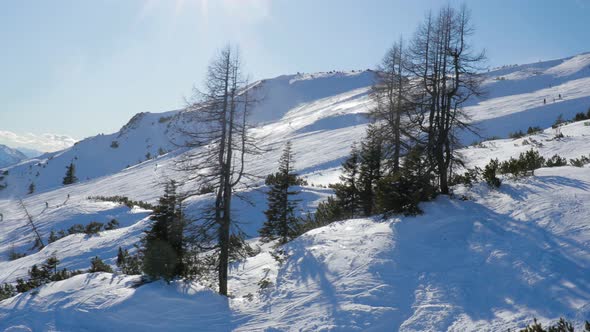 Winter Tauplitz Alm near Bad Mitterndorf, Austria