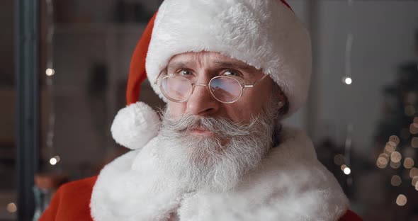 Closeup Confident Portrait of a Handsome Mature Bearded Man in Santa Claus Carnival Attire and