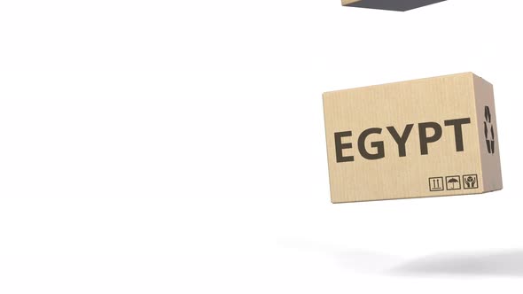 PRODUCT OF EGYPT Text on Cartons alt