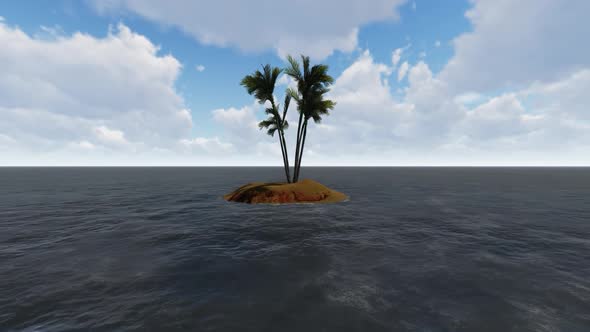 Trees grow in the middle of the sea