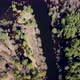Aerial view of the river between the pines. Flying over a winding riverbed surrounded by treetops - VideoHive Item for Sale