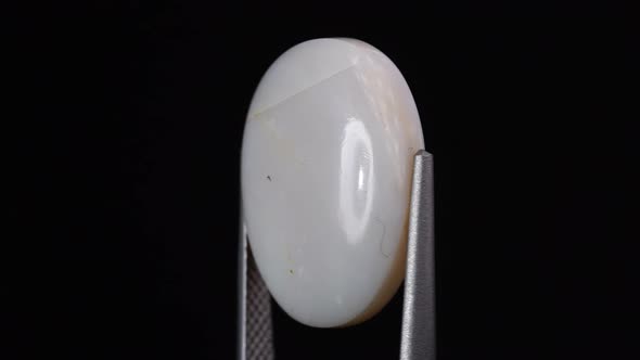 Natural Opal Gemstone in the Tweezer on the Background