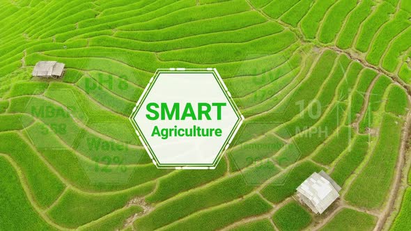 Smart Digital Agriculture Technology By Futuristic Sensor Data Collection