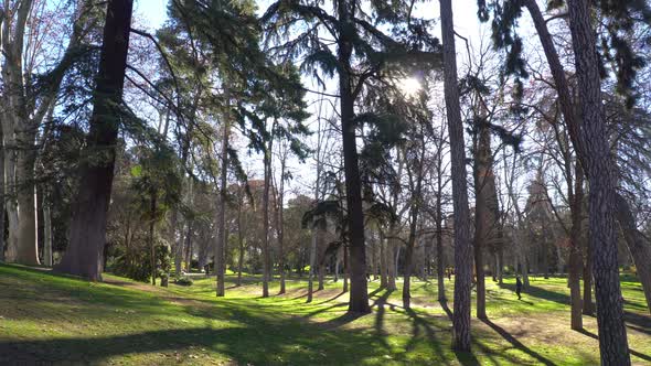 Parque De El Retiro, Madrid