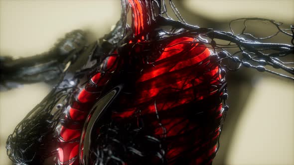 Human Body Scan with Glowing Lungs and Trachea alt