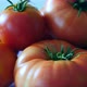 close-up large breakfast tomato, close-up large natural field tomato,	 - VideoHive Item for Sale