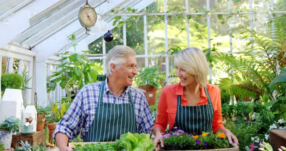 Portrait of mature couple holding pot plant