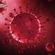 Covid-19 Corona Virus  - VideoHive Item for Sale