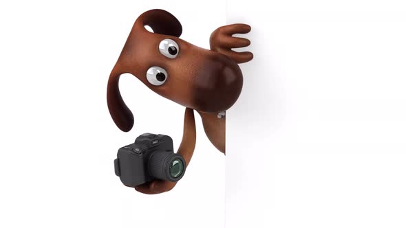 Fun dog - 3D Animation