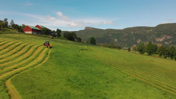 Tractor cutting green foliage crop for silage production, aerial view