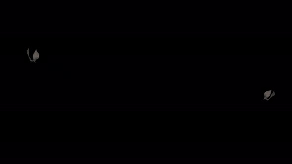 Two Bats - Flying Around - 4K Loop alt