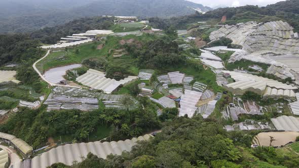 Cameron Highlands, Pahang Malaysia